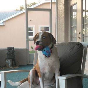 Meet your Posher, Mary.  I love Disney!